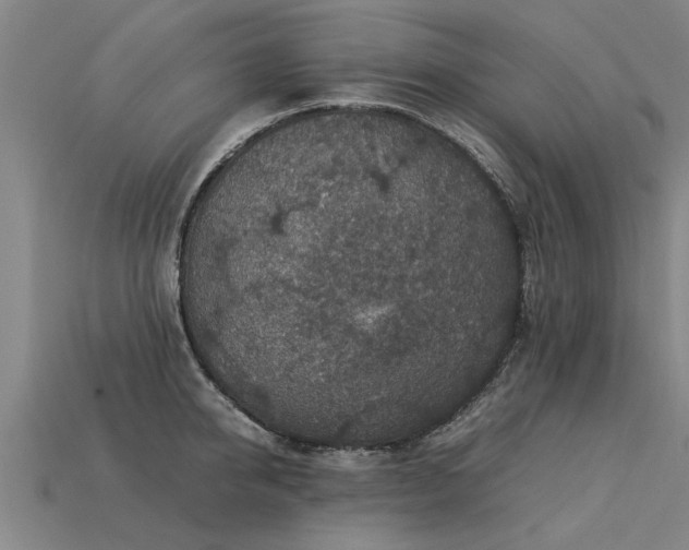 X0000113600950200909251153