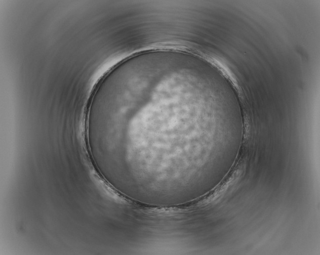 X0000113600952200909251153