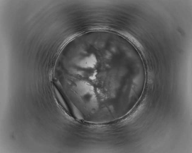 X0000113600953200909251153