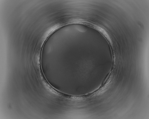 X0000113600954200909251153