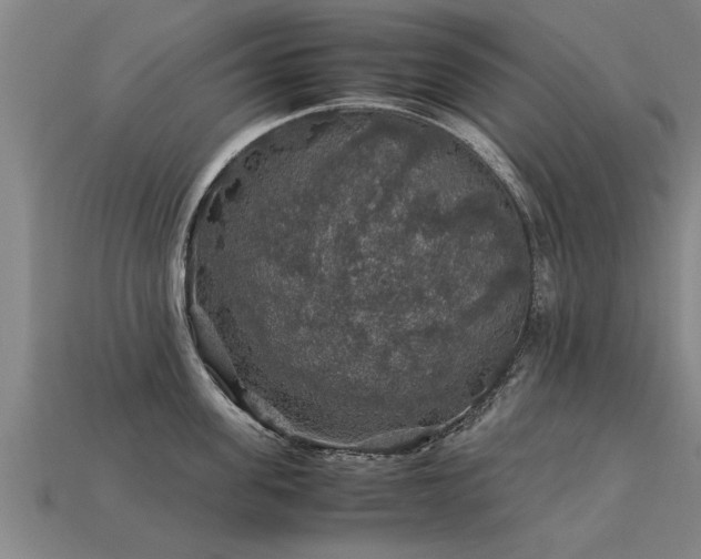 X0000113600955200909251153