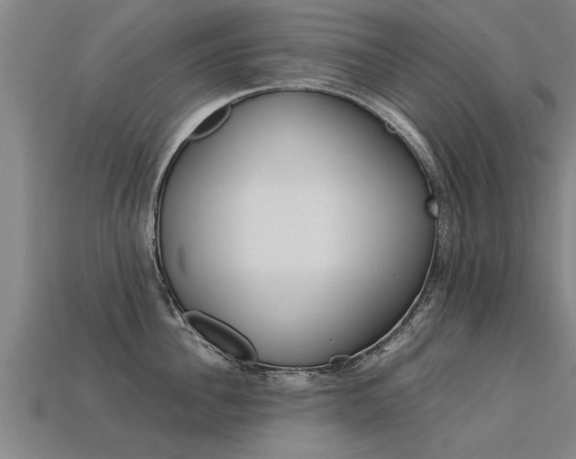 X0000113600956200909251153