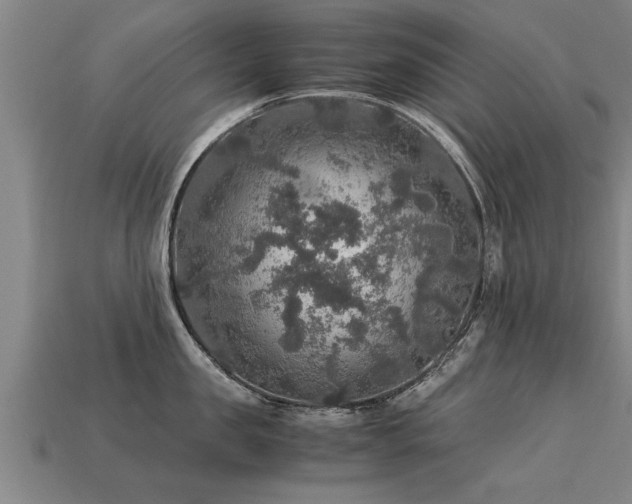 X0000113600957200909251153