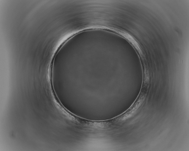 X0000113600958200909251153