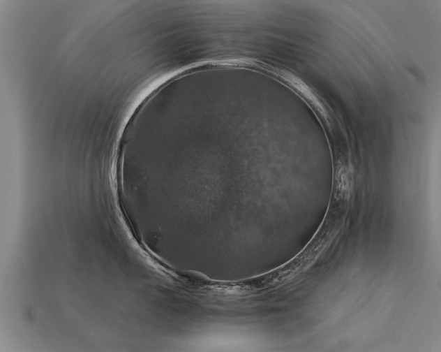 X0000113600959200909251153