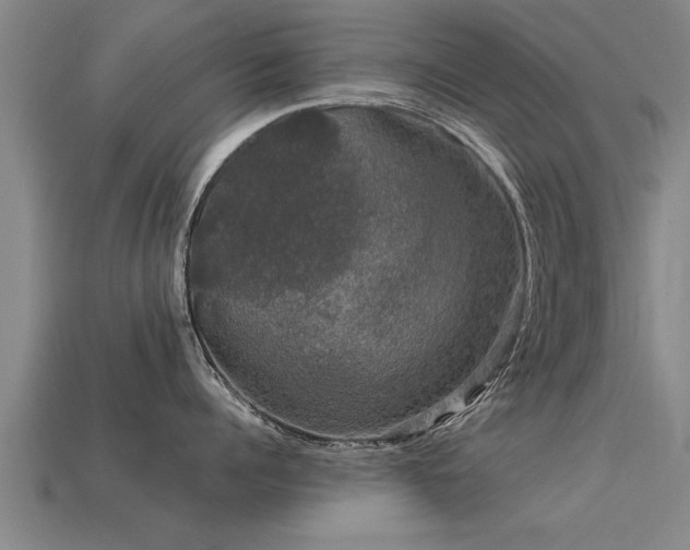 X0000113600960200909251153