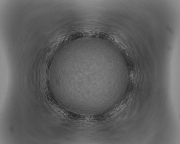 X0000113600961200909251153