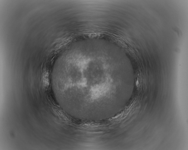 X0000113600962200909251153