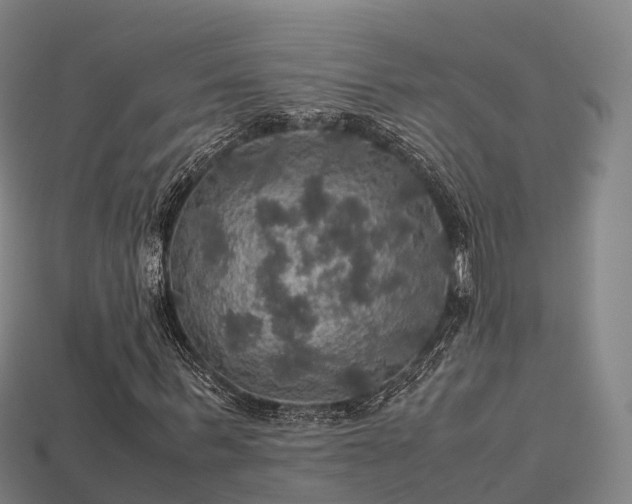 X0000113600963200909251153