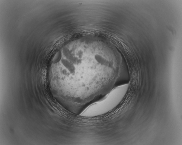 X0000113600964200909251153