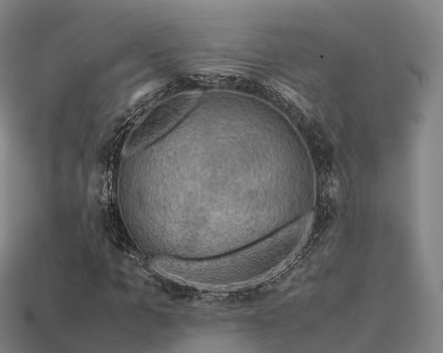 X0000113600965200909251153