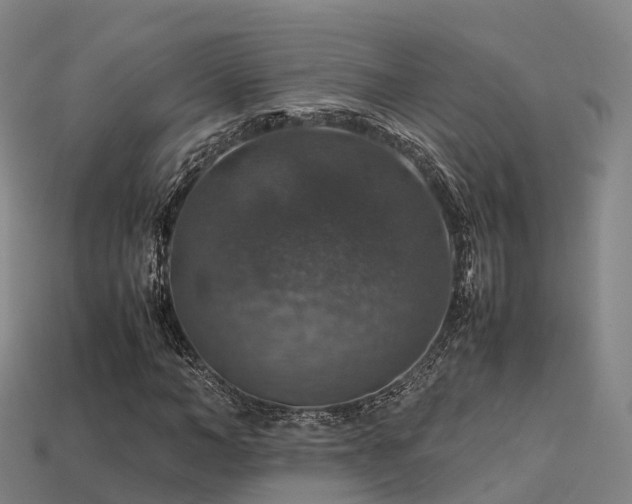 X0000113600966200909251153