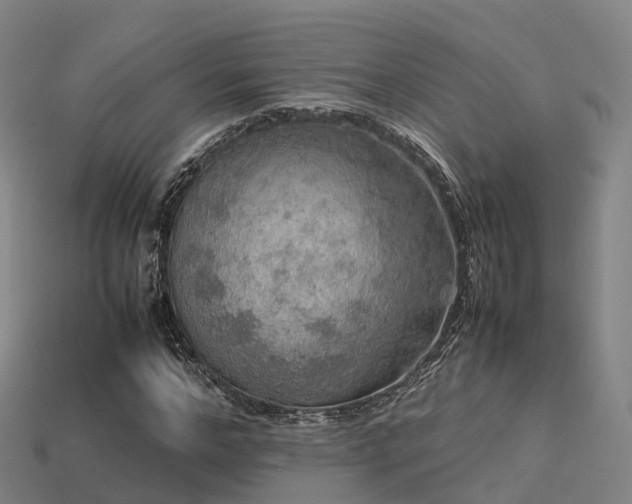 X0000113600968200909251153