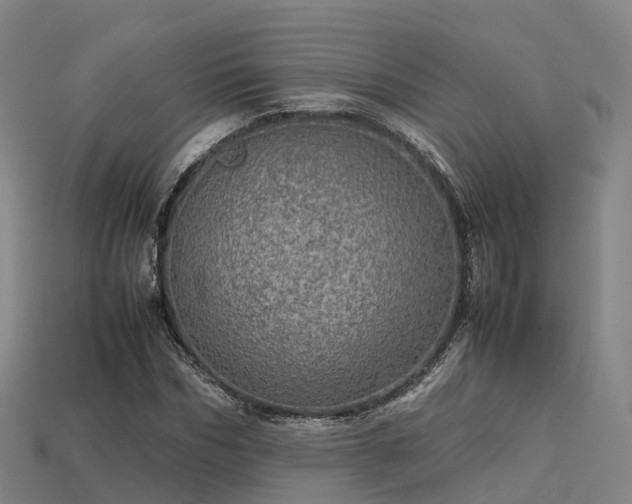 X0000113600970200909251153