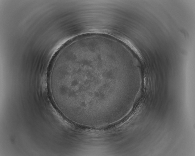 X0000113600972200909251153