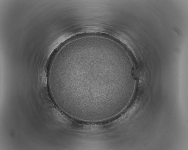 X0000113600973200909251153