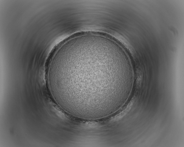 X0000113600974200909251153