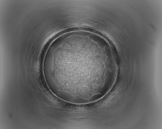 X0000113600975200909251153