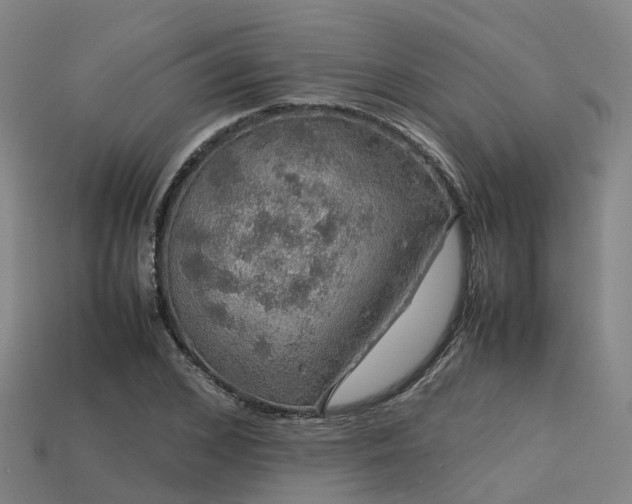 X0000113600976200909251153