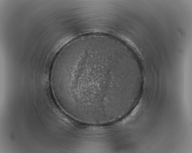 X0000113600977200909251153