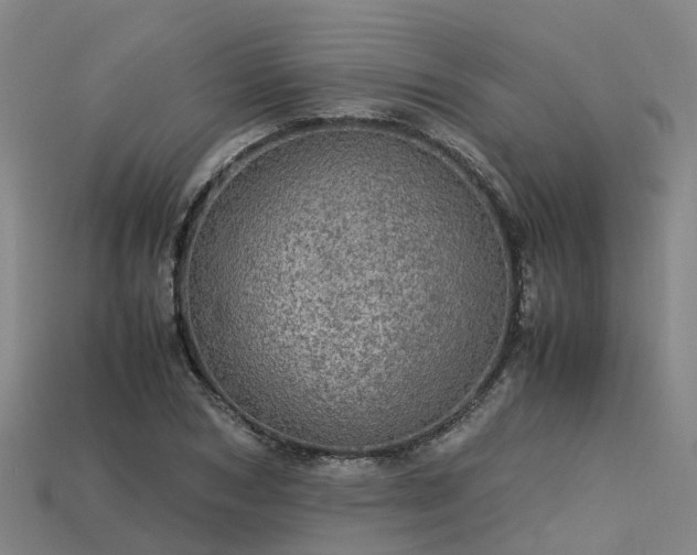 X0000113600978200909251152