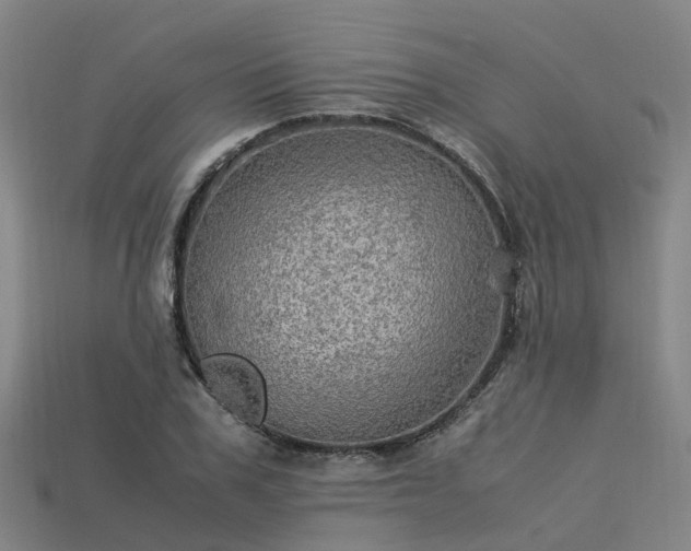 X0000113600979200909251152