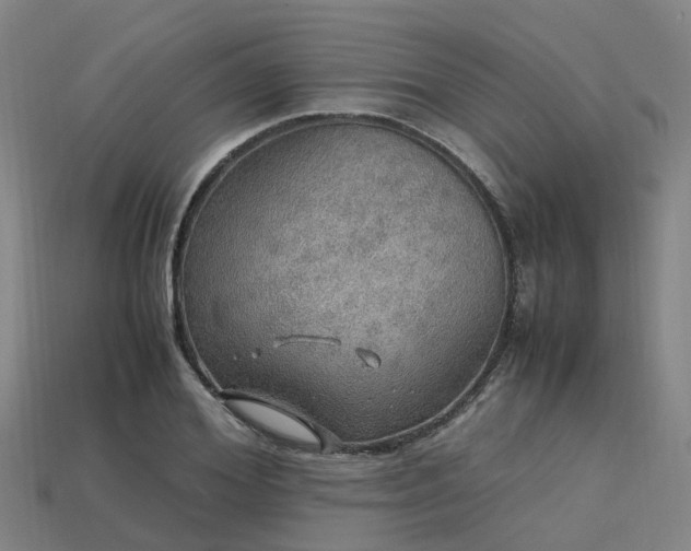 X0000113600980200909251152