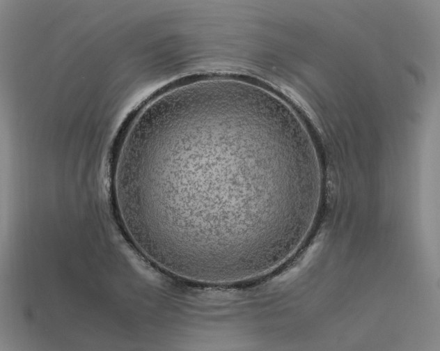 X0000113600981200909251152