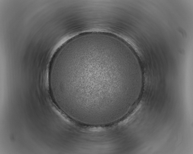 X0000113600982200909251152