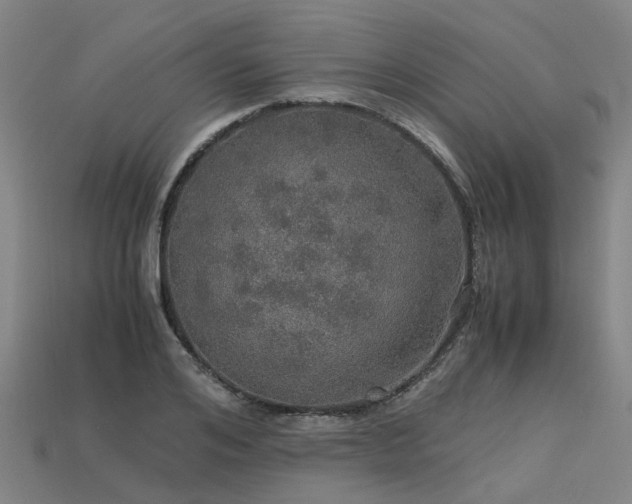 X0000113600984200909251152