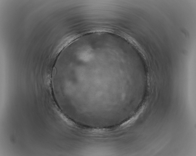 X0000113600985200909251152