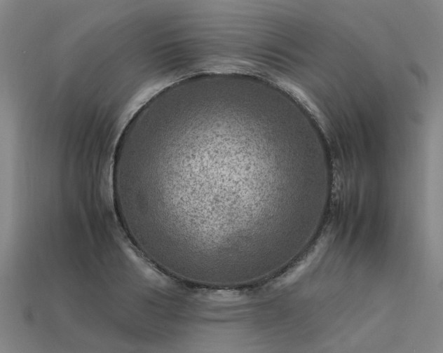 X0000113600986200909251152