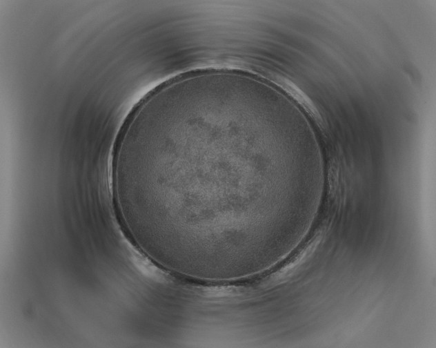 X0000113600988200909251152