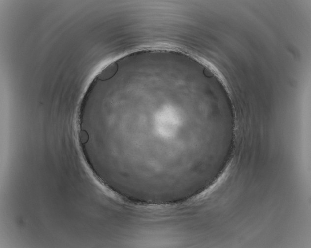 X0000113600989200909251152