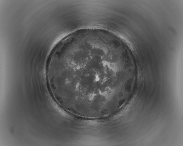 X0000113600990200909251152