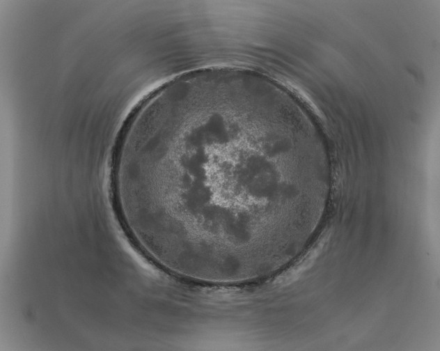 X0000113600991200909251152