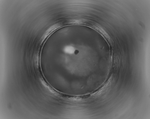 X0000113600994200909251152