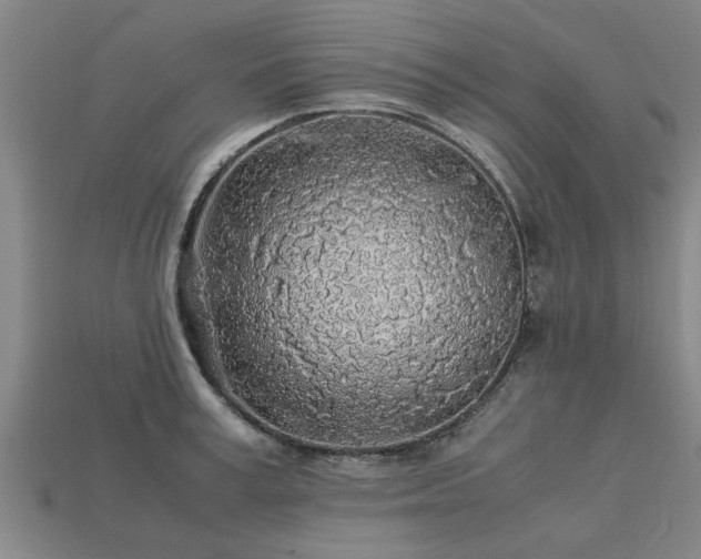 X0000113600995200909251152