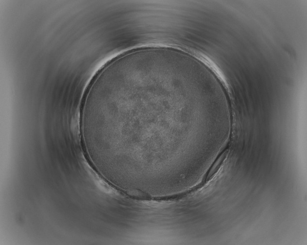 X0000113600996200909251152