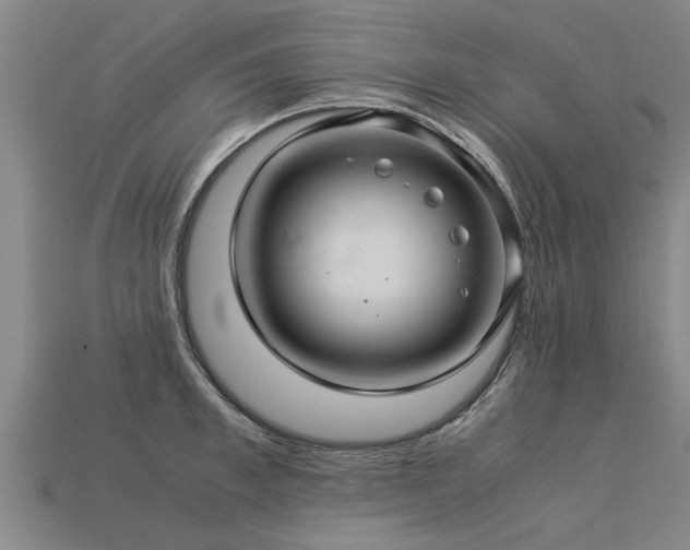 X0000113600997200909251152