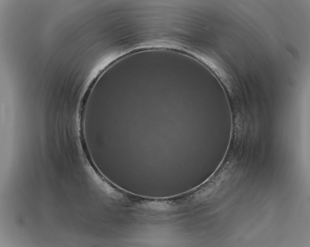 X0000113600998200909251152