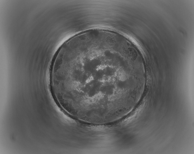 X0000113600999200909251152