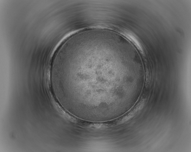 X0000113601000200909251152