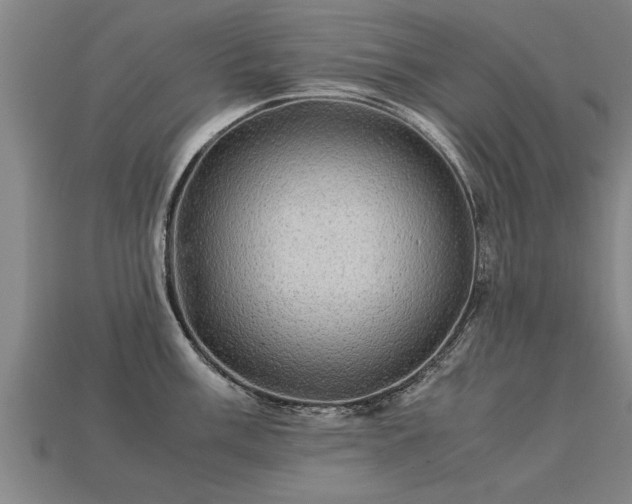 X0000113601003200909251152