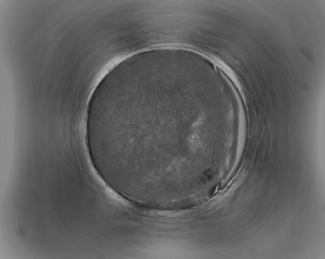 X0000113601005200909251152