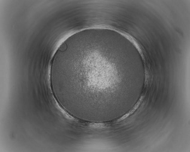 X0000113601006200909251152