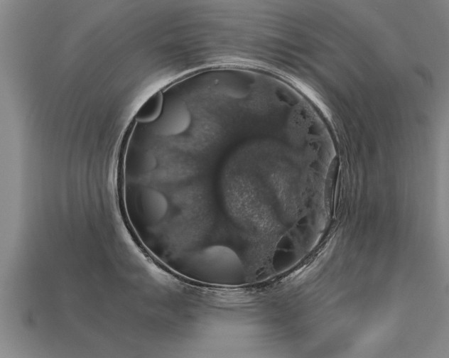 X0000113601007200909251152