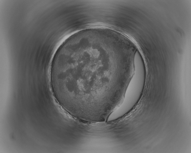 X0000113601008200909251152