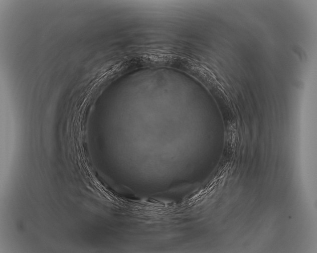 X0000113601009200909251151