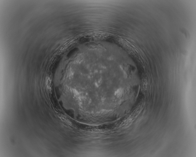 X0000113601010200909251152